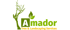 Amador Tree & Landscaping Services