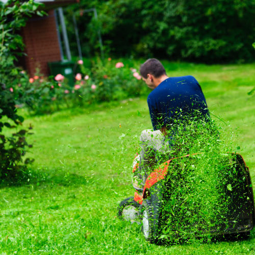 Lawn Mowing